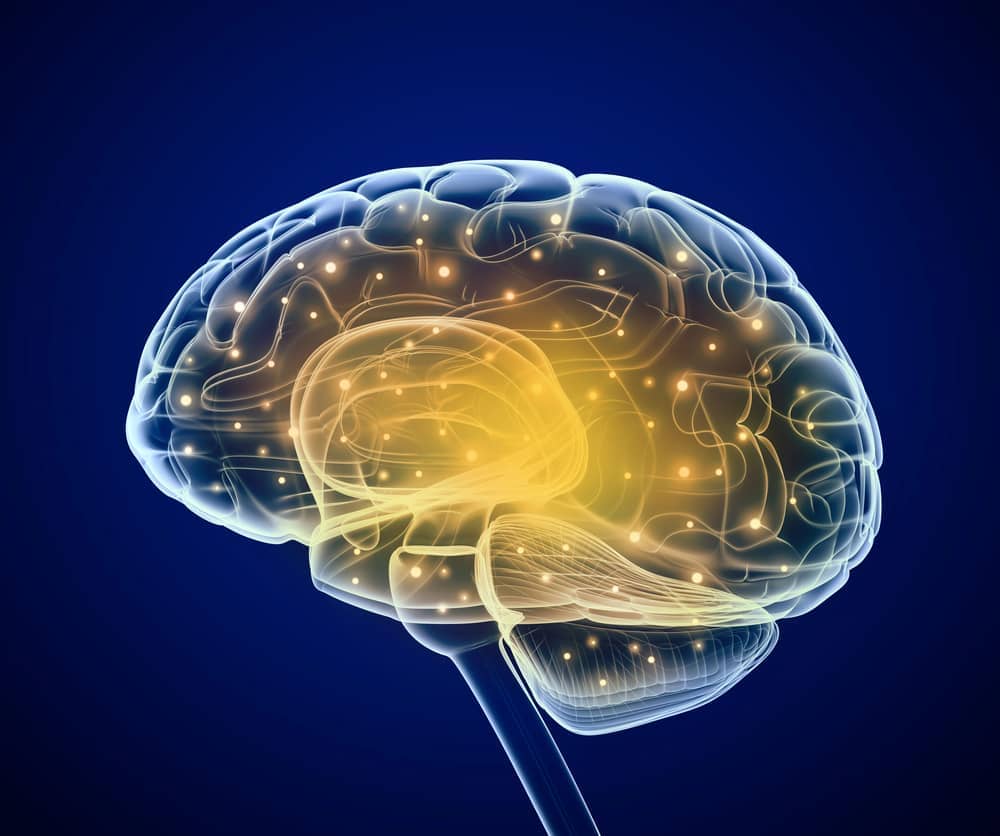 A revolução na ressuscitação cerebral: descoberta promissora envolve o papel do fígado