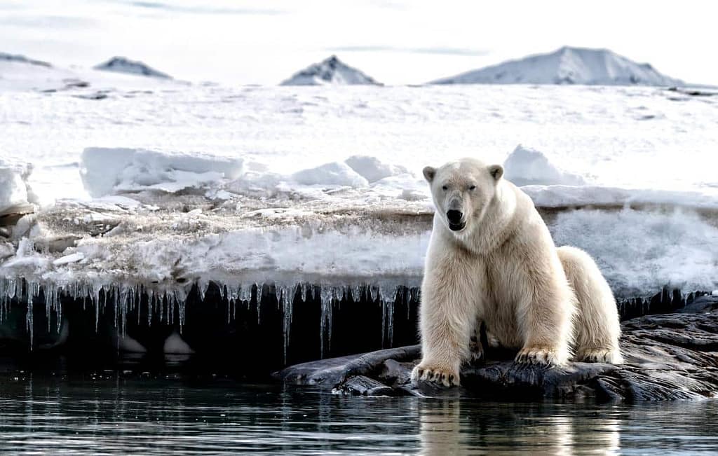 Acelerando o fim? O impacto do aquecimento dos oceanos no clima global