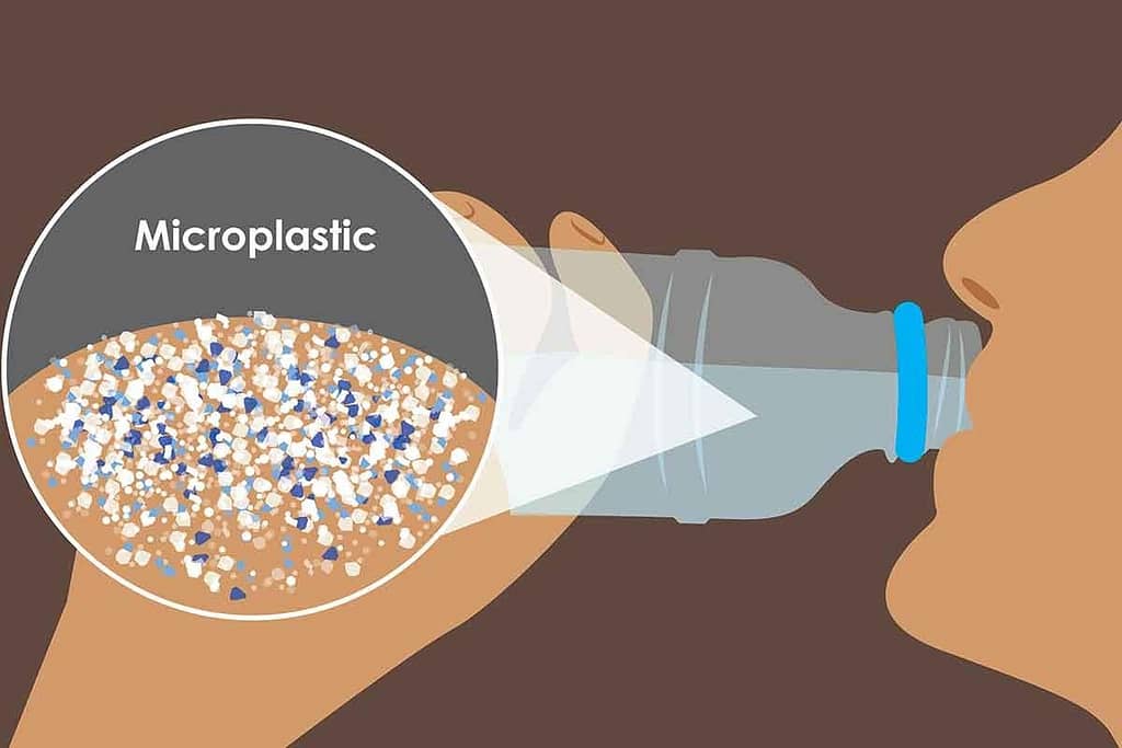 A descoberta de microplásticos no cérebro humano e seus efeitos na saúde