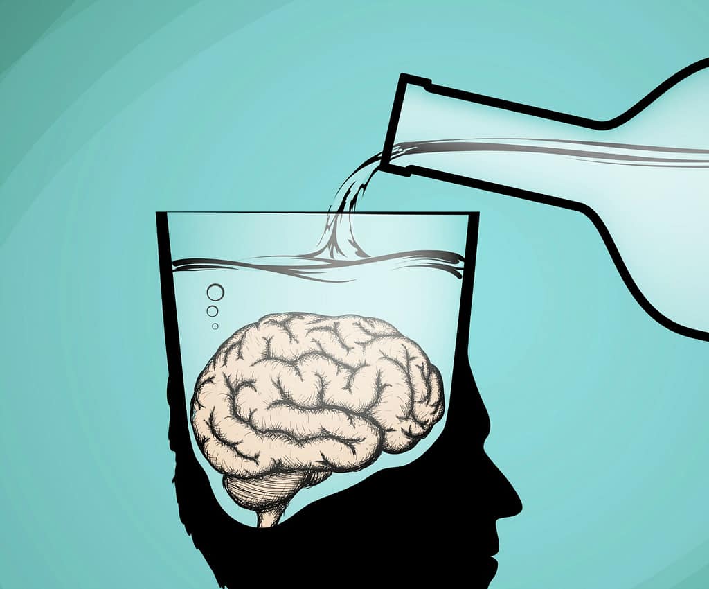 🧠 A grande descoberta: nosso cérebro tem um “freio” interno contra o binge drinking!