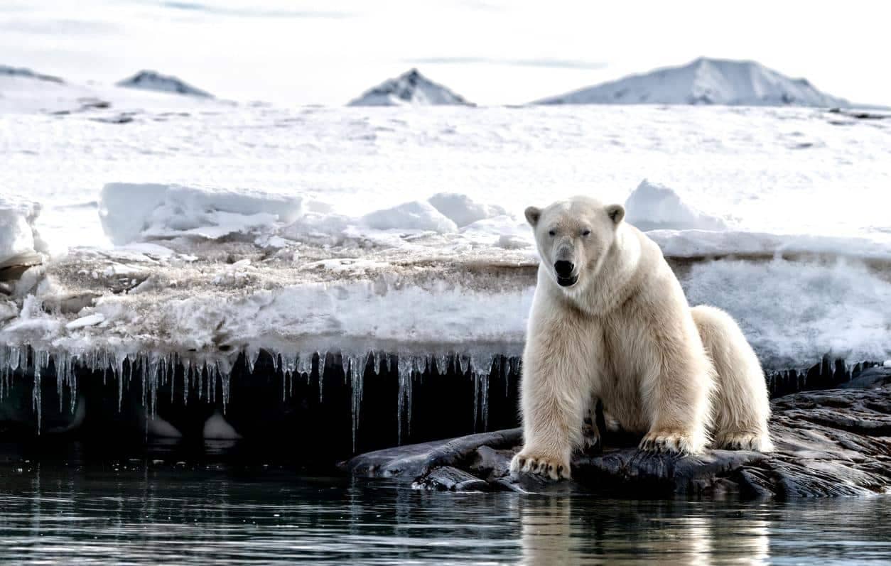 Acelerando o fim? O impacto do aquecimento dos oceanos no clima global