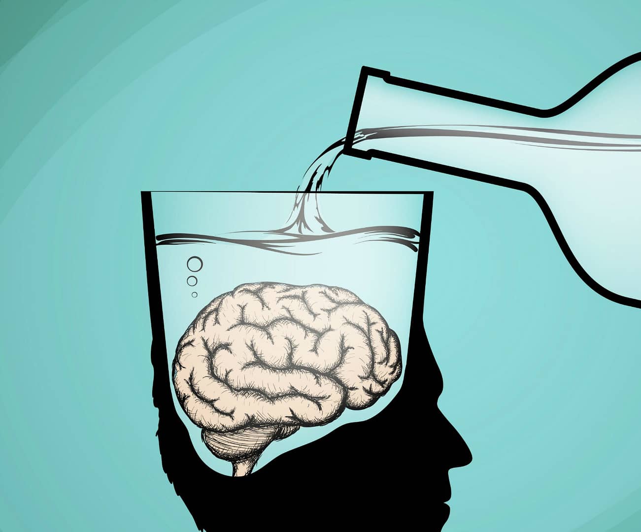 🧠 A grande descoberta: nosso cérebro tem um “freio” interno contra o binge drinking!