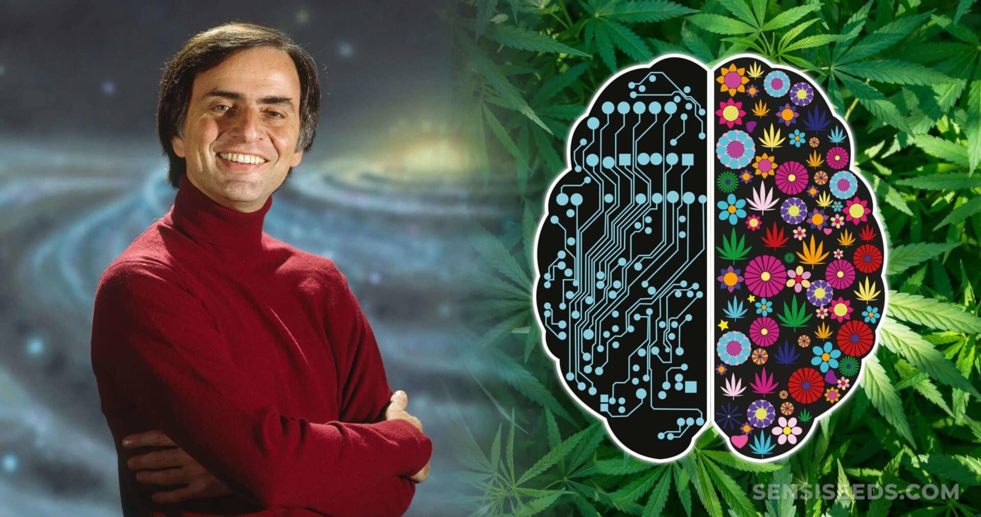 Carl Sagan, um dos maiores divulgadores científicos de todos os tempos fazia o da maconha.