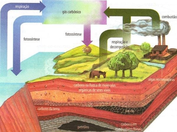 O impacto do aquecimento solar no ciclo de carbono e na vida na terra