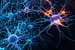 Cientistas descobrem neurônios que podem controlar seu apetite