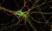 🧠 Além da Limite: A Incrível Máquina de Memórias do Seu Cérebro